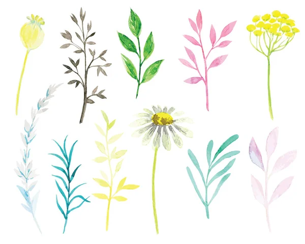 Set of vector watercolor flowers — Stock Vector