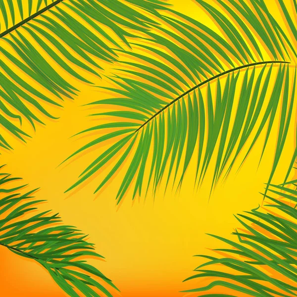 Zomerse Achtergrond Met Tropische Bladeren Groene Palmbladeren Een Gele Achtergrond — Stockvector