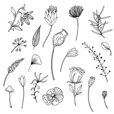 El çizimi vahşi dallar ve yapraklar.