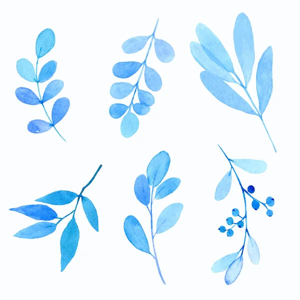 Aquarell Florale Elemente Isoliert Auf Weißen Blauen Blättern Und Zweigen — Stockvektor