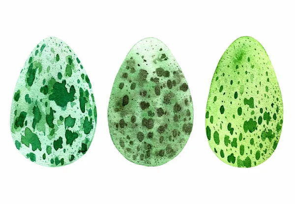 Conjunto Acuarela Huevos Verdes Vector — Archivo Imágenes Vectoriales
