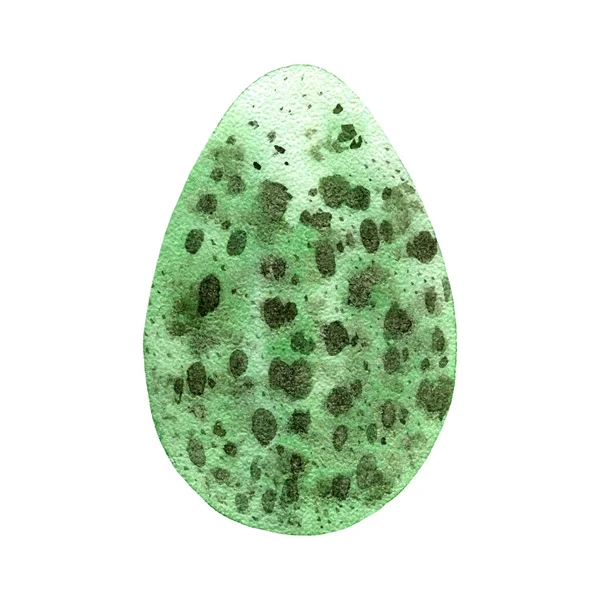 Oeuf Aquarelle Tacheté Vert — Image vectorielle