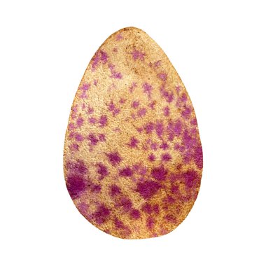 Vahşi kuş yumurtası, suluboya çizimi, vektör