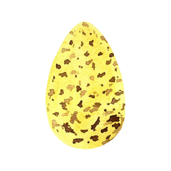 Желтое Яйцо Пятнами Выделенными Белом Вектор — стоковый вектор