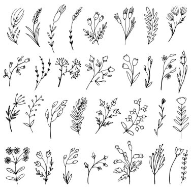 Basit çiçek ve dal karalamaları.