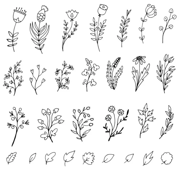 花や小枝のシンプルなドードルのセット — ストックベクタ