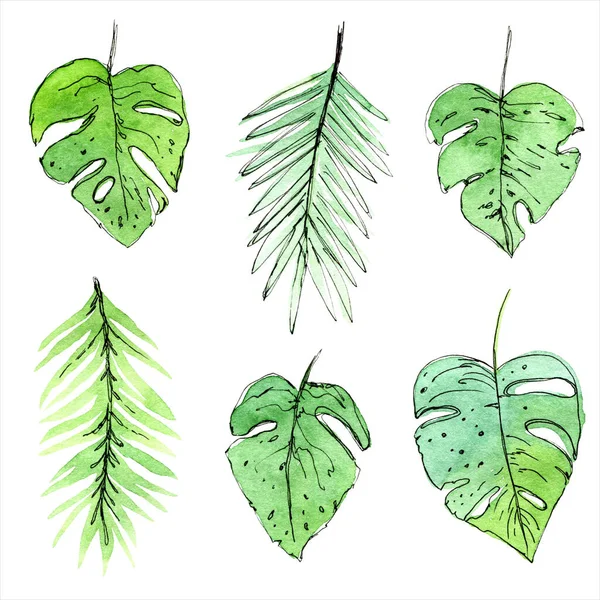 Watercolor Sketch Tropical Leaves Isolated White — Stock Photo, Image