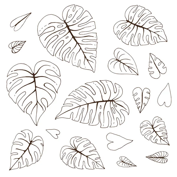 Monstera leaf doodle set isolated on white.