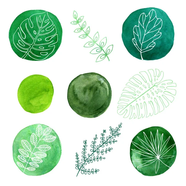 Set Van Aquarelelementen Groene Cirkels Plantenelementen — Stockfoto