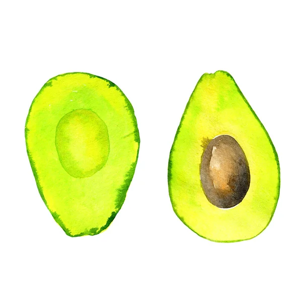 Aquarell Avocado Isoliert Auf Weiß — Stockfoto