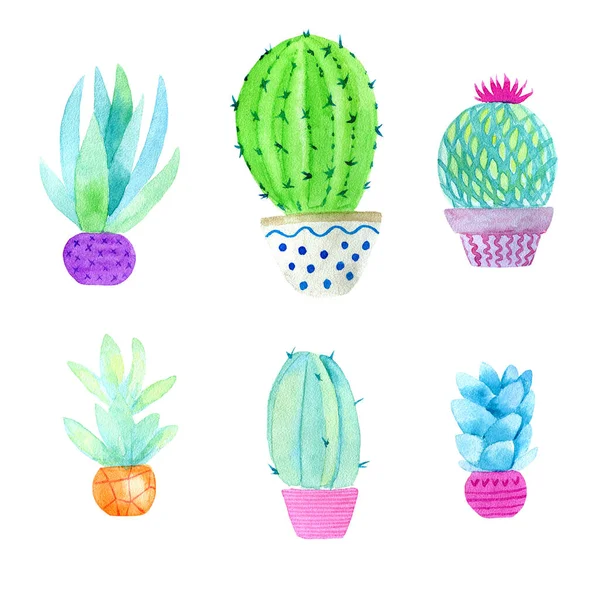 Akvarell Kaktuszok Szukkulensek Fehér Alapon Izolált Edényekben — Stock Fotó