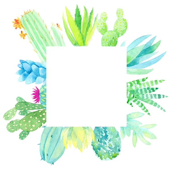 Frame Cacti Succulents Watercolor Illustration — Stock Photo, Image