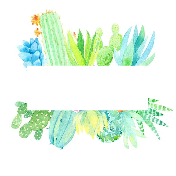 Rectangular Frame Succulents Cacti — Stock Photo, Image