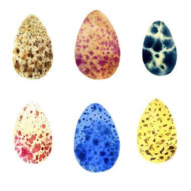 Vahşi kuş yumurtaları, suluboya çizimler beyaz üzerine izole edilmiş.