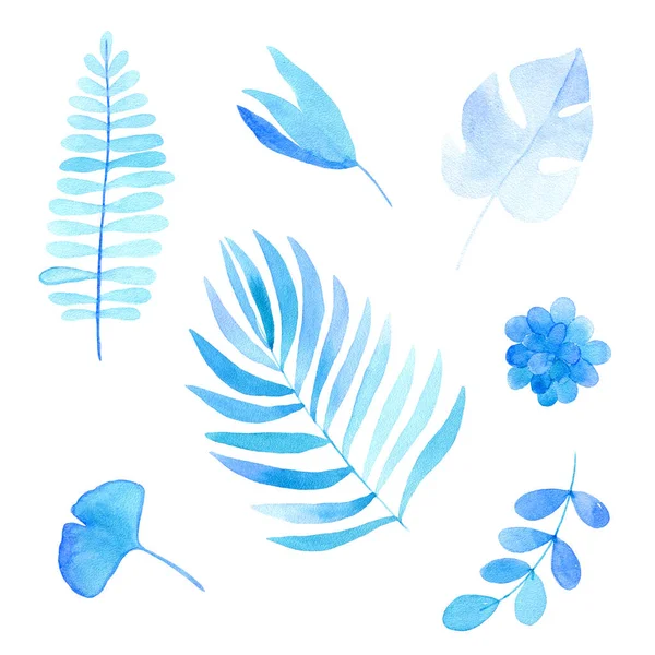 Aquarell Florale Elemente Isoliert Auf Weißen Blauen Blättern Und Zweigen — Stockfoto