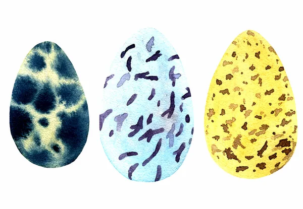 Wild Bird Egg Watercolor Illustration — Stock Photo, Image