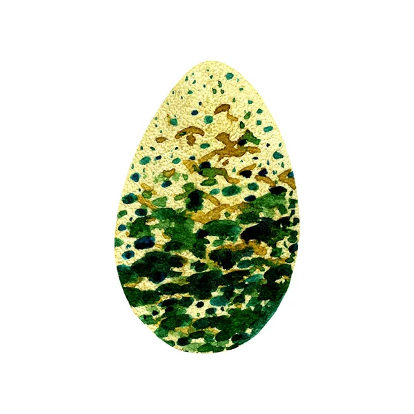 Яйцо Дикой Птицы Акварель — стоковое фото