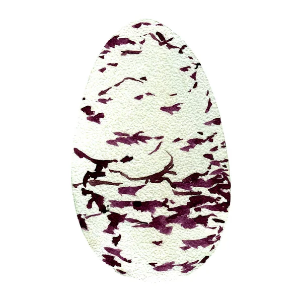 Wild Bird Egg Watercolor Illustration — Stock Photo, Image