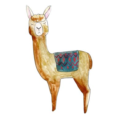 suluboya lama beyaz arkaplanda izole edildi