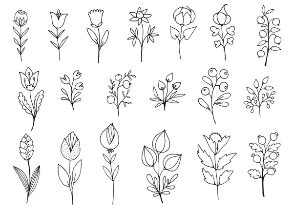 Набор Ручной Работы Каракули Ветвей Цветов — стоковый вектор