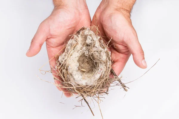 hands holding a bird\'s nest on a white background isolated