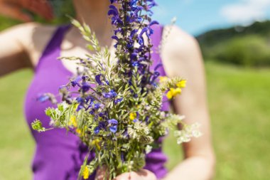Kız kır çiçekleri buketi tutuyor. Eller çayır çiçek tutun. Sahada yürümek.