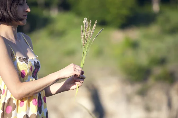 Una Chica Arranca Las Flores Silvestres Una Mujer Vestido Verano —  Fotos de Stock