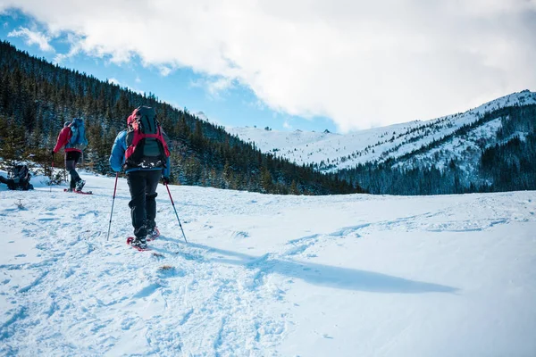 Dois Alpinistas Calçados Neve Estão Nas Montanhas Inverno Contra Abetos — Fotografia de Stock