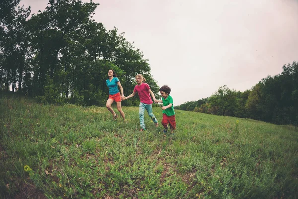 Çocuklu bir kadınla yeşil çim çalışır. Anne oğlunu elleri ve gülüyor tarafından tutar. Açık havada ailesiyle birlikte oynayan bir çocuk. Çocuk annesi ve kardeşi ile çayırlarda yürür.