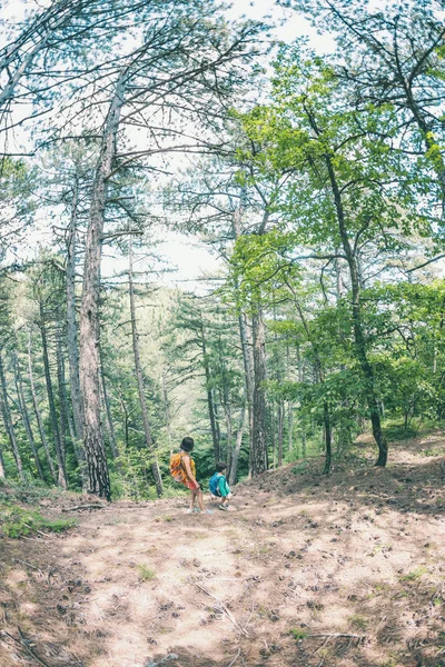 Bir Kadın Çocuk Bir Orman Yolu Yürümek Bir Sırt Çantası — Stok fotoğraf
