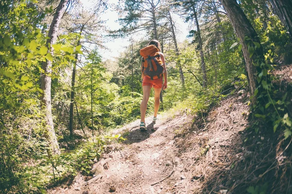 The girl is walking through the forest. A young woman with a backpack travels through picturesque places. A tourist walks along a mountain path. Fisheye lens.