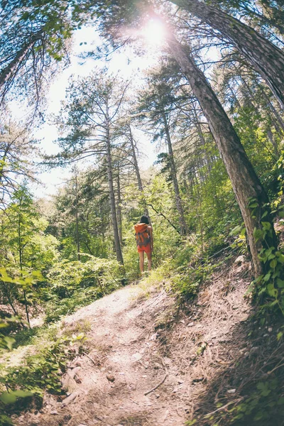 Dívka Chůze Lesem Mladá Žena Batohem Prochází Malebných Míst Turistické — Stock fotografie