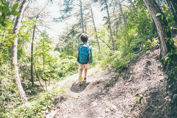 Kind Met Een Rugzak Het Forest Jongen Loopt Langs Het — Stockfoto