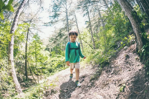 Kind Mit Rucksack Wald Der Junge Geht Den Bergweg Entlang — Stockfoto