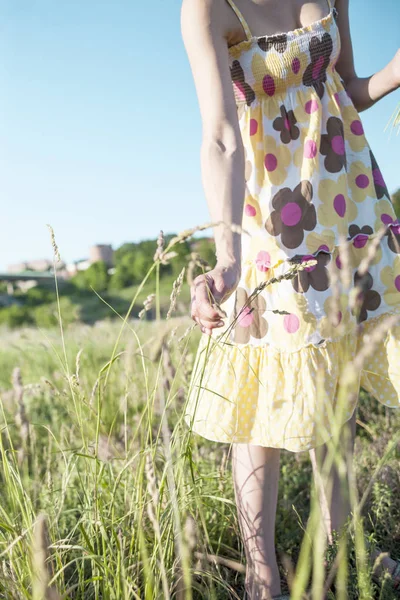 Una Chica Arranca Las Flores Silvestres Una Mujer Vestido Verano —  Fotos de Stock