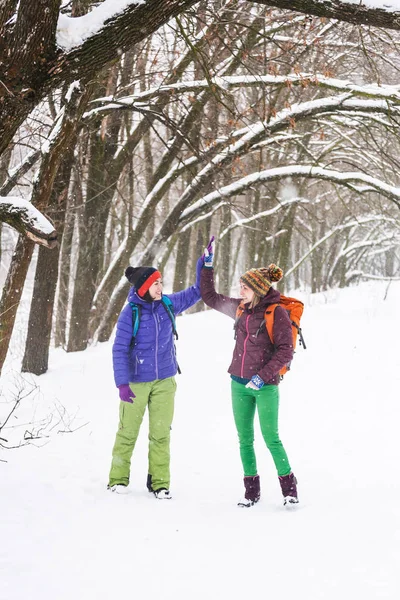 Дівчата Дають Ять Одне Одному Друзі Проходять Через Зимовий Ліс — стокове фото