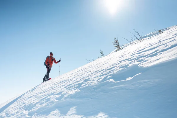 A man climbs to the top of the mountain. Mountaineer in snow shoes carry a backpack. Journey in the mountains in winter. Extreme vacation in nature. Tourist in extreme conditions.