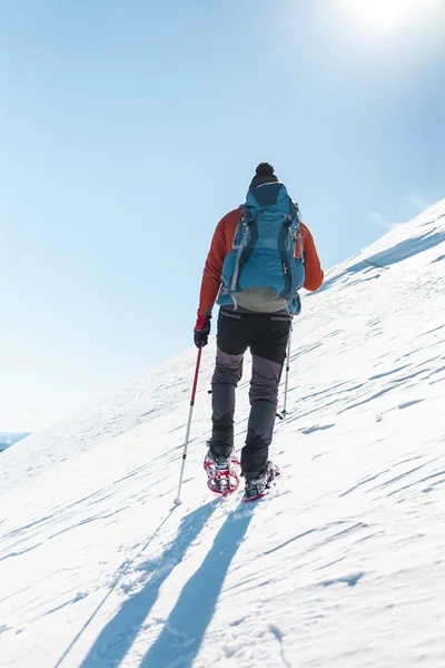 登山运动员在雪地鞋背着一个背包 在冬天的山上旅行 大自然中的极端假期 — 图库照片