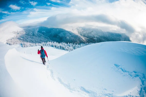 Egy Ember Hótalp Hegyekben Télen Egy Mászó Trekking Botokkal Sétálni — Stock Fotó