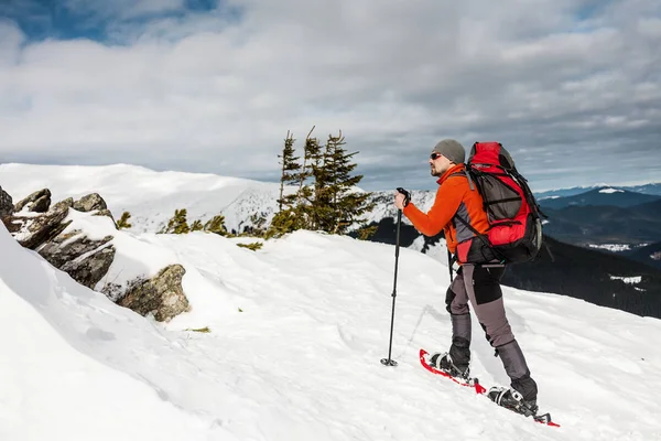 A man climbs to the top of the mountain. Mountaineer in snow shoes carry a backpack. Journey in the mountains in winter. Extreme vacation in nature. Tourist in extreme conditions.