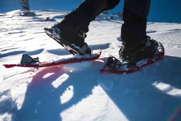 Bărbat Pantofi Zăpadă Stâlpi Trekking Echipament Pentru Mersul Zăpadă Aproape — Fotografie, imagine de stoc