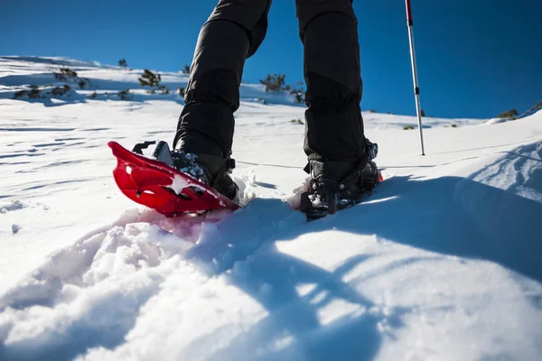 Man Snowshoes Trekking Poles Equipment Walking Snow Close Journey Mountains — Stock Photo, Image