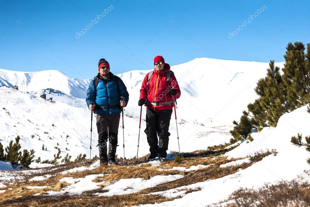 Two climbers are in the mountains in the winter against snow covered fir trees. Climbing with backpacks. Two friends travel together in picturesque places.