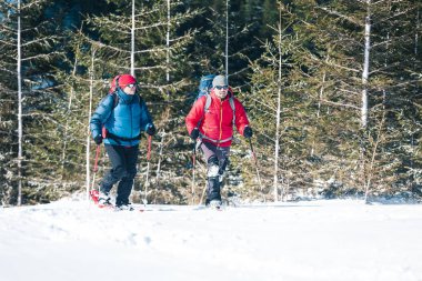 İki dağcı kış karla kaplı çam ağaçları karşı dağlarda bulunmaktadır. Sırt çantaları ile tırmanma. İki arkadaş, birlikte güzel yerlerde seyahat.