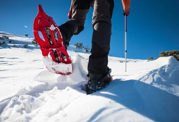 Mann Schneeschuhen Mit Trekkingstöcken Ausrüstung Für Das Gehen Auf Schnee — Stockfoto