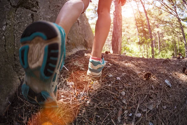 女人腿上的运动鞋 运动鞋关闭 一个女孩在树林里散步 一个女人沿着森林小路奔跑 越野跑 跟踪运行 鱼眼镜片 — 图库照片