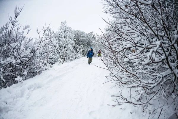 少年は 雪の中を実行します バックパックを持つ子供は 森の小道で彼女の母親から実行されます 冬の楽しみ ママは子どものそりに乗ってください — ストック写真