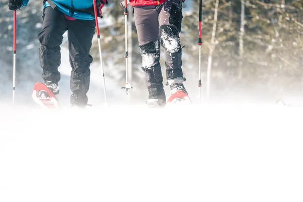 Два Альпиниста Находятся Горах Время Снежной Бури Метель Время Восхождения — стоковое фото