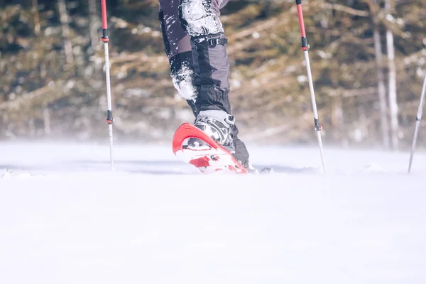 Homem Sapatos Neve Com Postes Trekking Equipamento Para Andar Neve — Fotografia de Stock