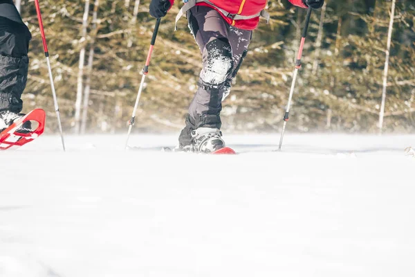 Man Snowshoes Trekking Poles Equipment Walking Snow Close Journey Mountains — Stock Photo, Image